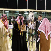 Badawieh - Reserve Champion Filly