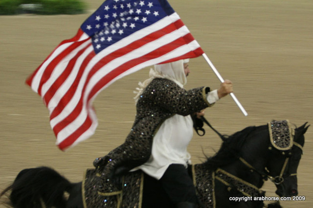 2009 Egyptian Event - Championships