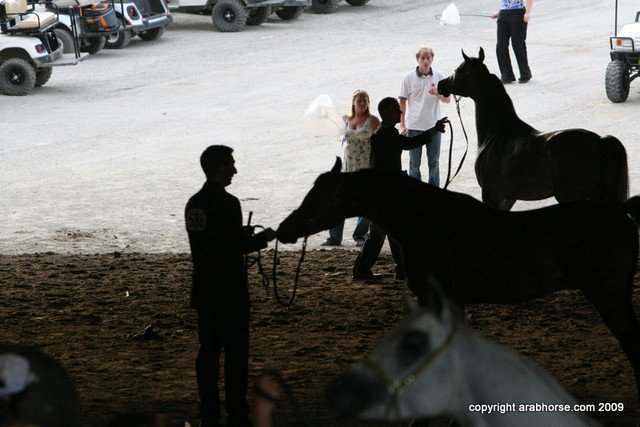 2009 Egyptian Event - Championships