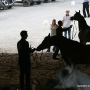 2009 Egyptian Event - Championships