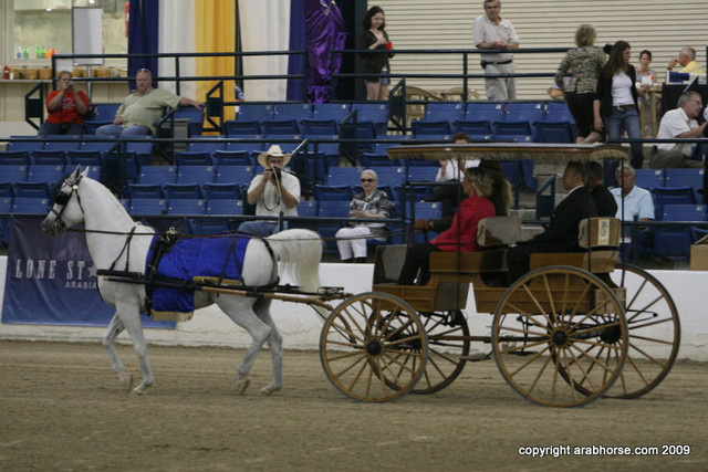 2009 Egyptian Event - Championships