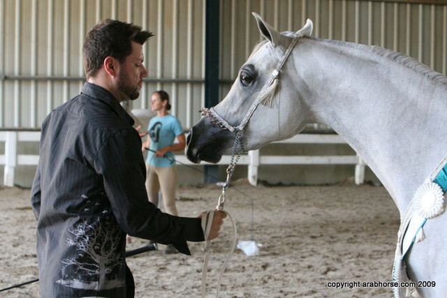 2009 Egyptian Event - Championships