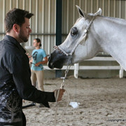 2009 Egyptian Event - Championships