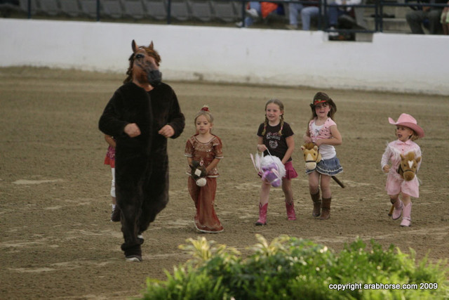2009 Egyptian Event - Championships
