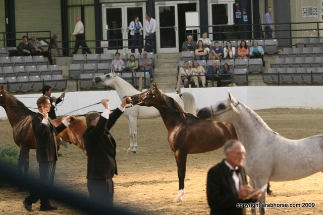 2009 Egyptian Event - Championships