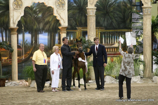 2009 Egyptian Event - Championships