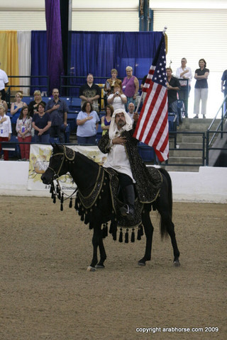 2009 Egyptian Event - Championships