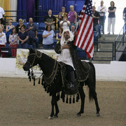 2009 Egyptian Event - Championships