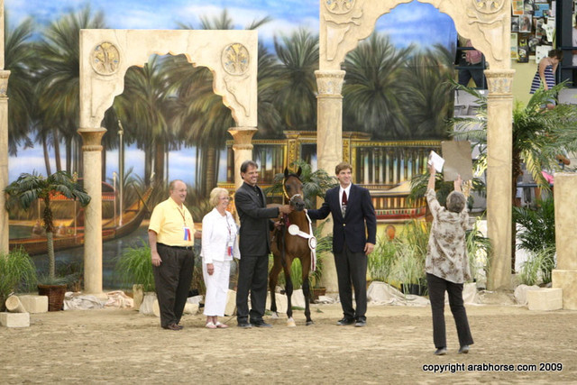 2009 Egyptian Event - Championships