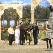 2009 Egyptian Event - Championships