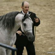2009 Egyptian Event - Championships