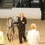 2009 Egyptian Event - Championships