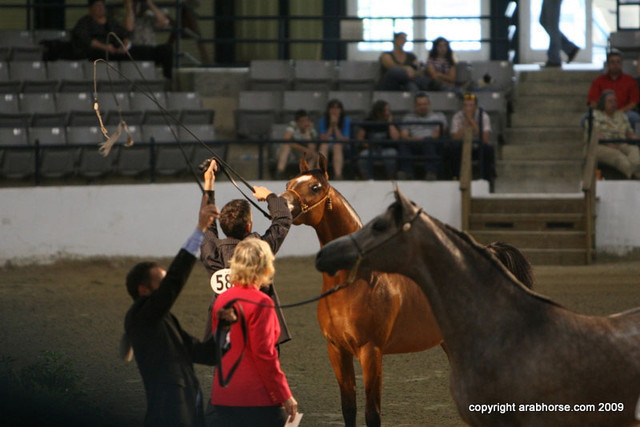 2009 Egyptian Event - Championships