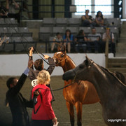 2009 Egyptian Event - Championships