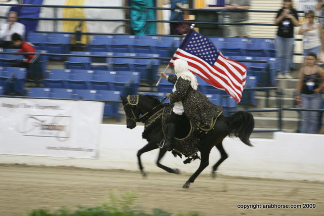 2009 Egyptian Event - Championships