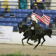2009 Egyptian Event - Championships