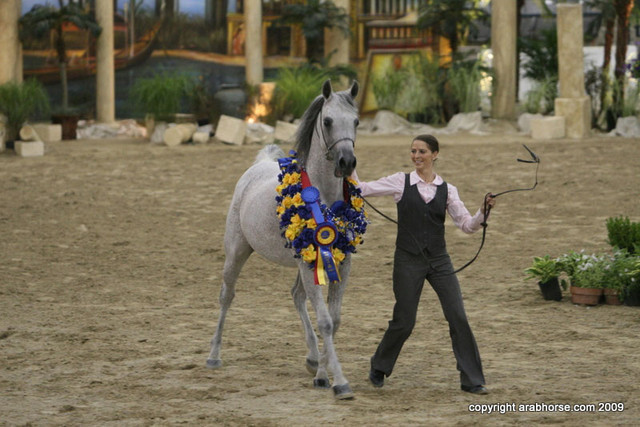2009 Egyptian Event - Championships