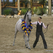 2009 Egyptian Event - Championships