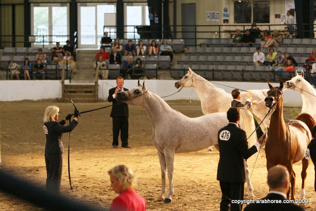 2009 Egyptian Event - Championships