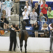 2009 Egyptian Event - Championships