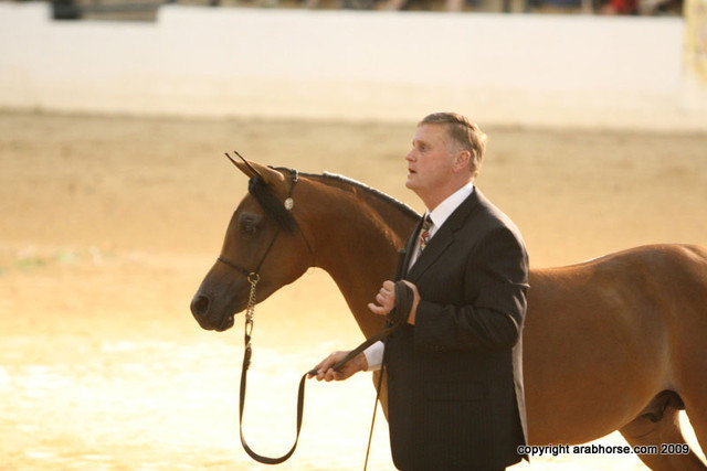 2009 Egyptian Event - Championships