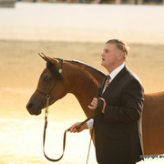 2009 Egyptian Event - Championships