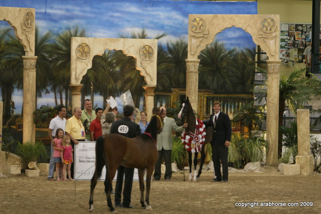 2009 Egyptian Event - Championships