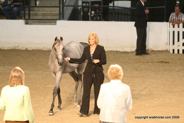 2009 Egyptian Event - Championships