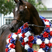 Egyptian Event - After Show(Darryl)