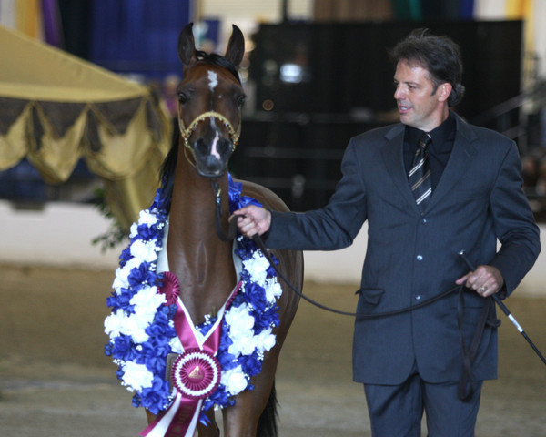 Egyptian Event - After Show(Darryl)