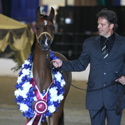 Egyptian Event - After Show(Darryl)