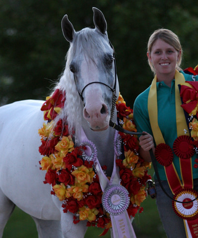 Egyptian Event - After Show(Darryl)