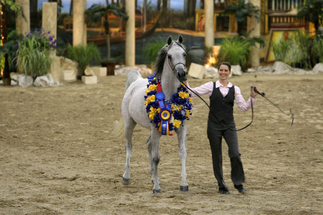 Egyptian Event - After Show(Darryl)