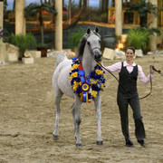 Egyptian Event - After Show(Darryl)