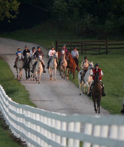 Egyptian Event - After Show(Darryl)