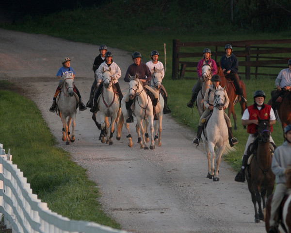 Egyptian Event - After Show(Darryl)