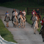 Egyptian Event - After Show(Darryl)