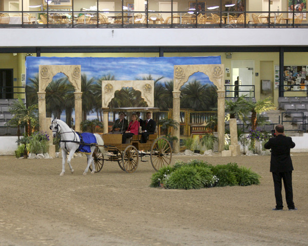 Egyptian Event - After Show(Darryl)