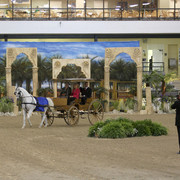 Egyptian Event - After Show(Darryl)