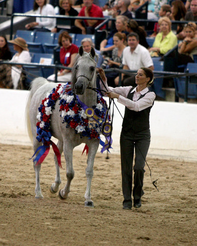 Egyptian Event - After Show(Darryl)