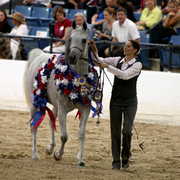 Egyptian Event - After Show(Darryl)