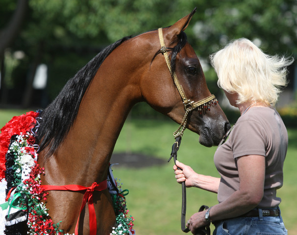 Egyptian Event - After Show(Darryl)