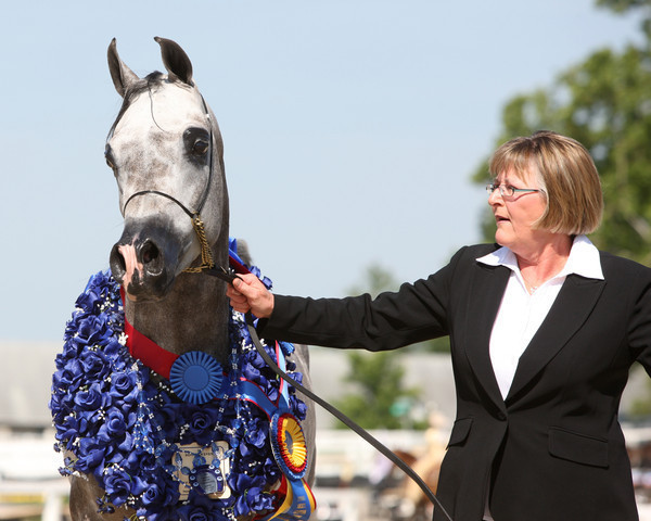 Egyptian Event - After Show(Darryl)