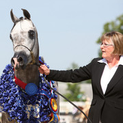 Egyptian Event - After Show(Darryl)