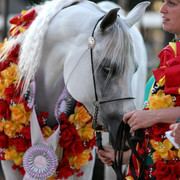 Egyptian Event - After Show(Darryl)