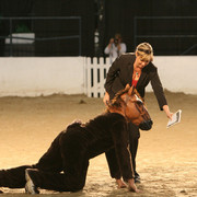 Egyptian Event - After Show(Darryl)