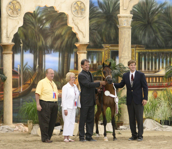 Egyptian Event - After Show(Darryl)