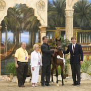 Egyptian Event - After Show(Darryl)