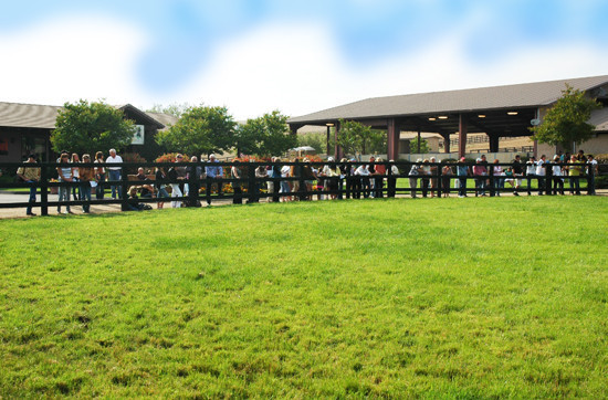 North Arabians - Open House