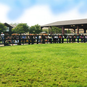 North Arabians - Open House